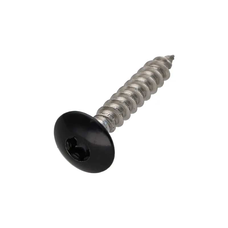 1 x Vis Penture 6X35 Filetée sur 30 TORX T30 Inox A2 Laqué noir RAL9005 noir foncé