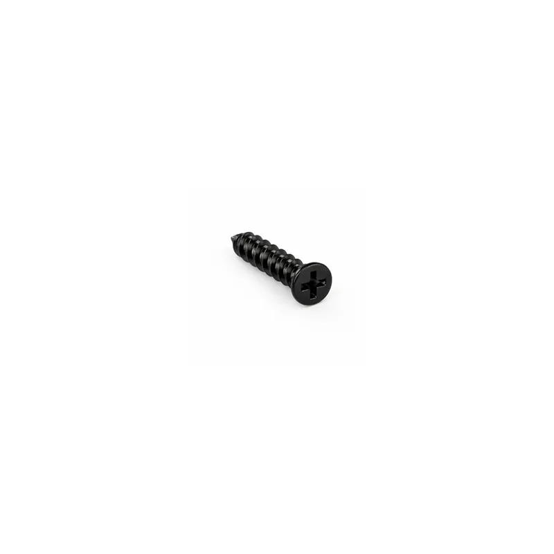 1 x Vis autotaraudeuse Pour Plastique Tête fraisée Phillips n° 0 2X6 Acier zingué noir microvis