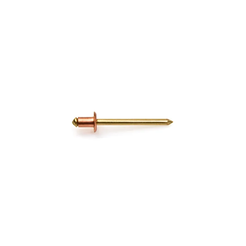 1 x Rivet TRS cuivre tige laiton 3.8X6
