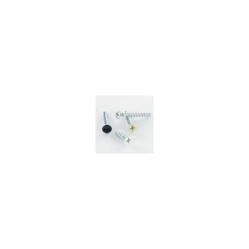 1 x Vis pvc Inox A2 Tête fraisée bombée TFB Phillips 4.2X35