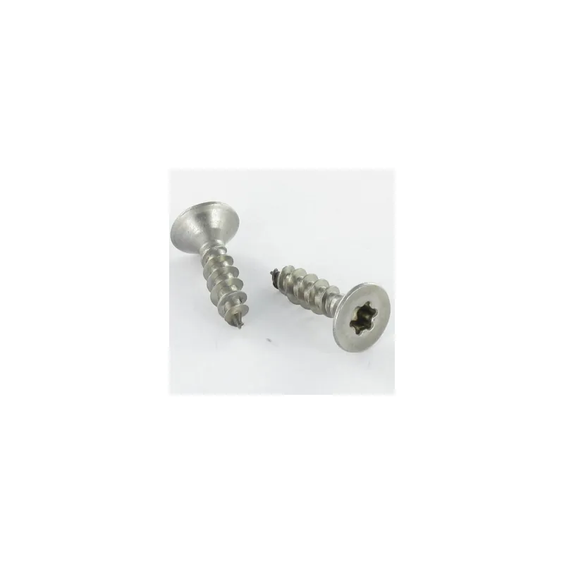 1 x VBA Vis bois agglo Inox A2 Tête fraisée 3X30 Filetage total TORX T10 microvis