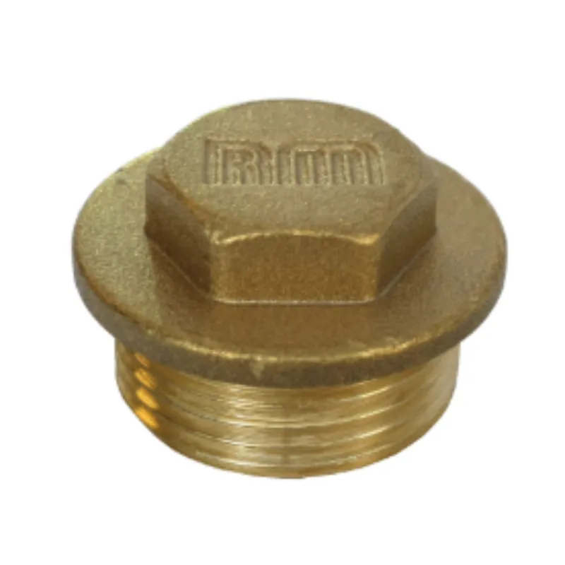 1 x Bouchon mâle figure 290 1" Laiton