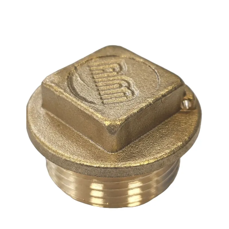 1 x Bouchon mâle figure 290 2" Laiton