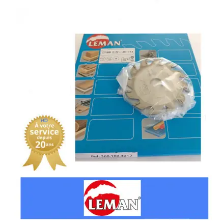 lame à rainer au carbure 100x20x4 mm 12 dents LEMAN